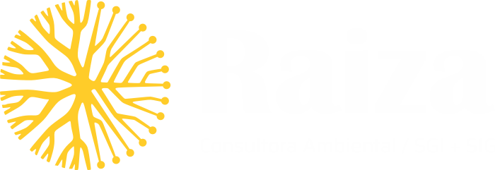 logo-raiza-consultora